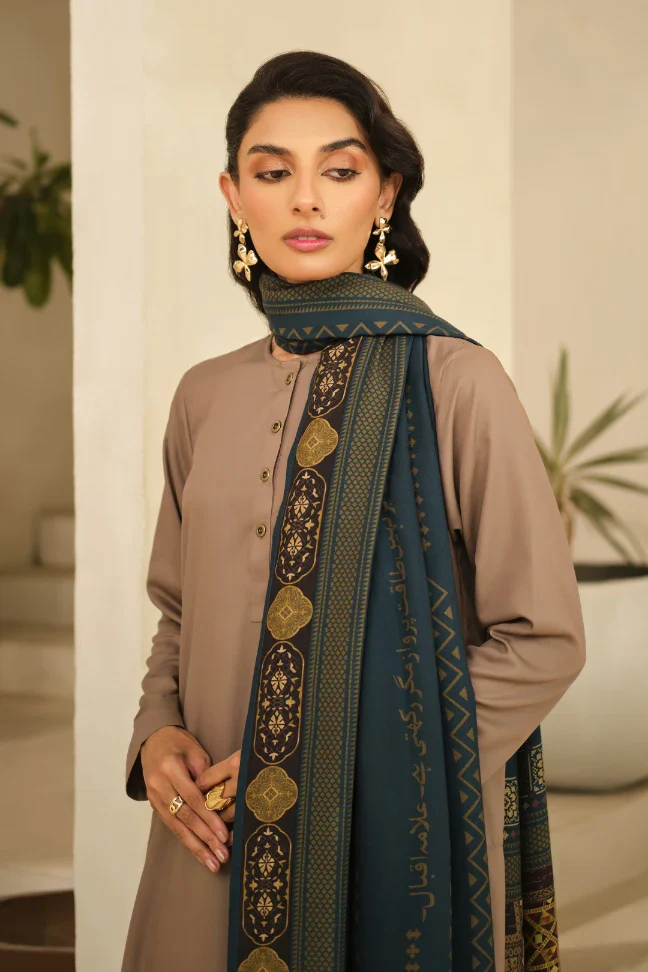 Aashiyana Odhni - Teal - Image 5