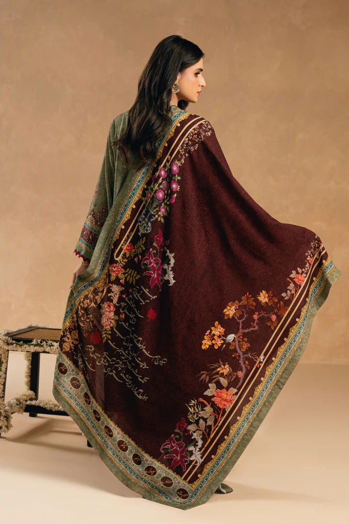 Aashna Odhni - Image 3
