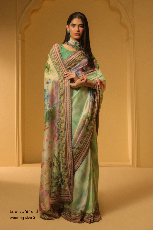 Hoor Saree