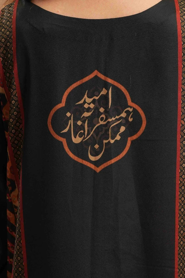 Humsafar Co-Ord set - Image 7