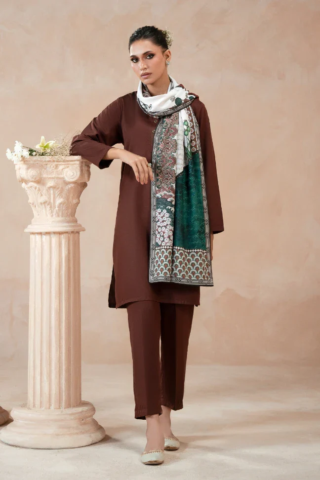 Humsafar Stole - Image 4