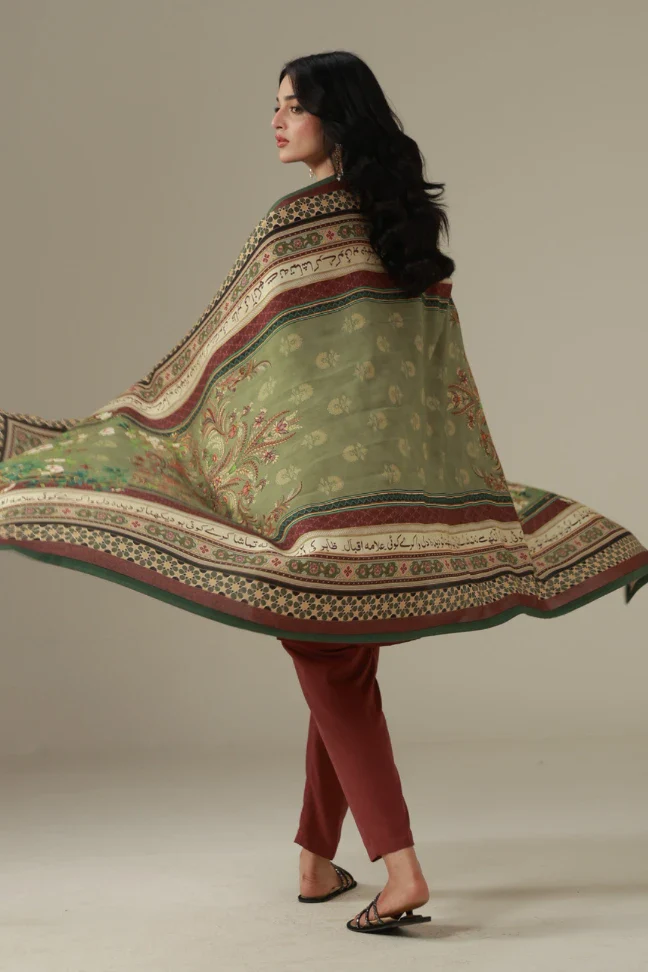Inteha Odhni - Image 5