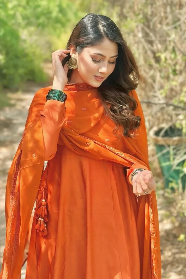 Jahaan Anarkali Set - Burnt Orange - Image 4