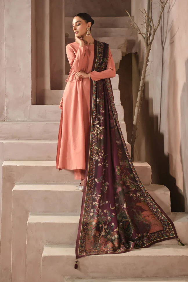 Kashish Odhni