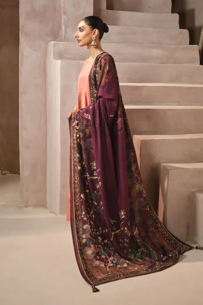 Kashish Odhni - Image 2