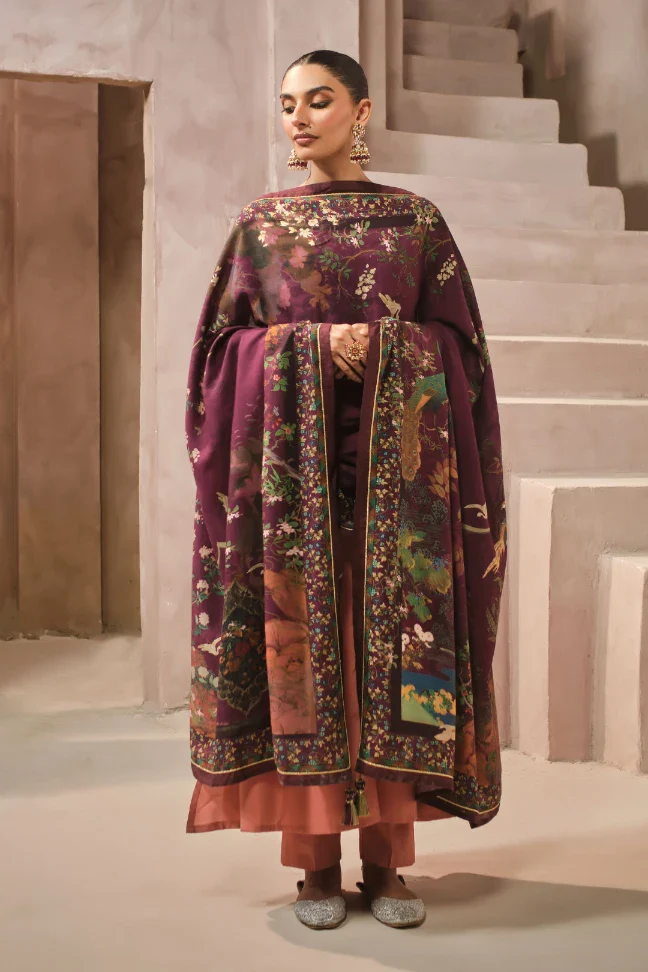 Kashish Odhni - Image 3