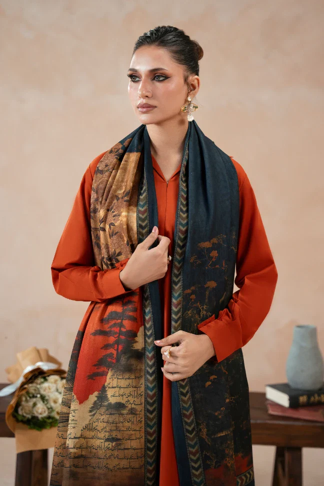Khizaan Stole - Image 2
