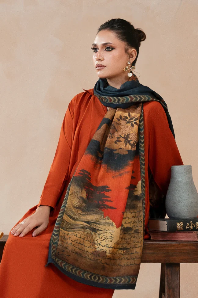 Khizaan Stole - Image 3