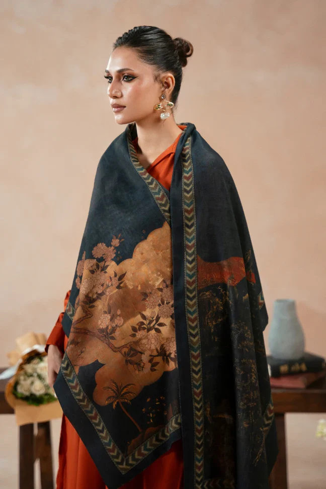 Khizaan Stole - Image 4