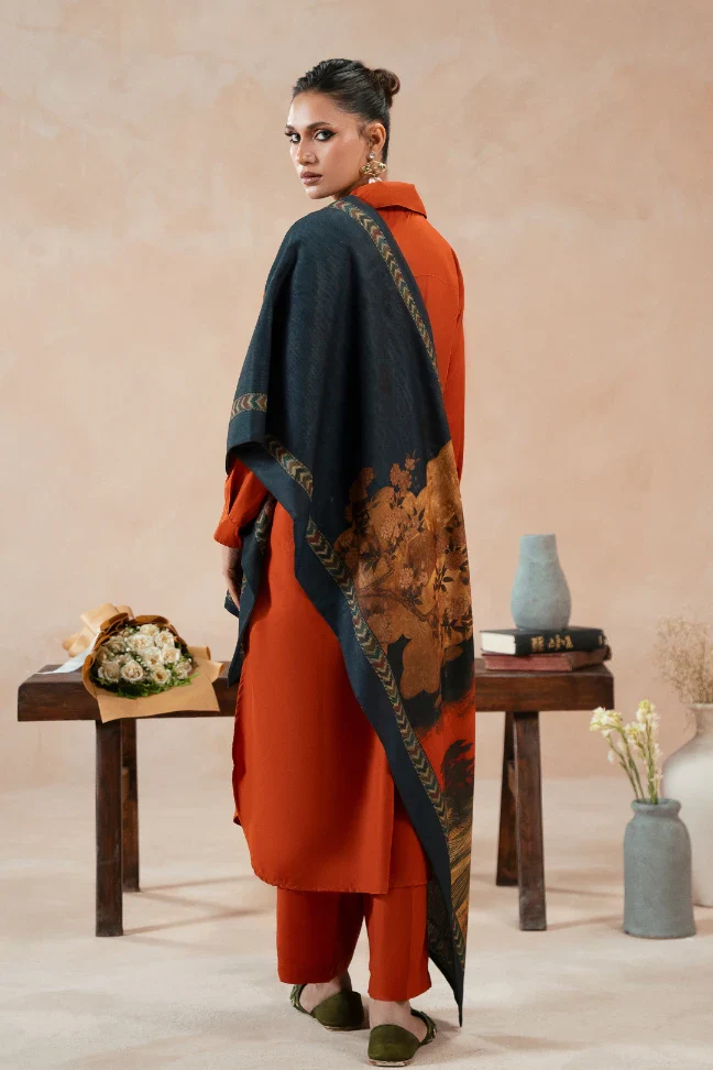 Khizaan Stole - Image 5