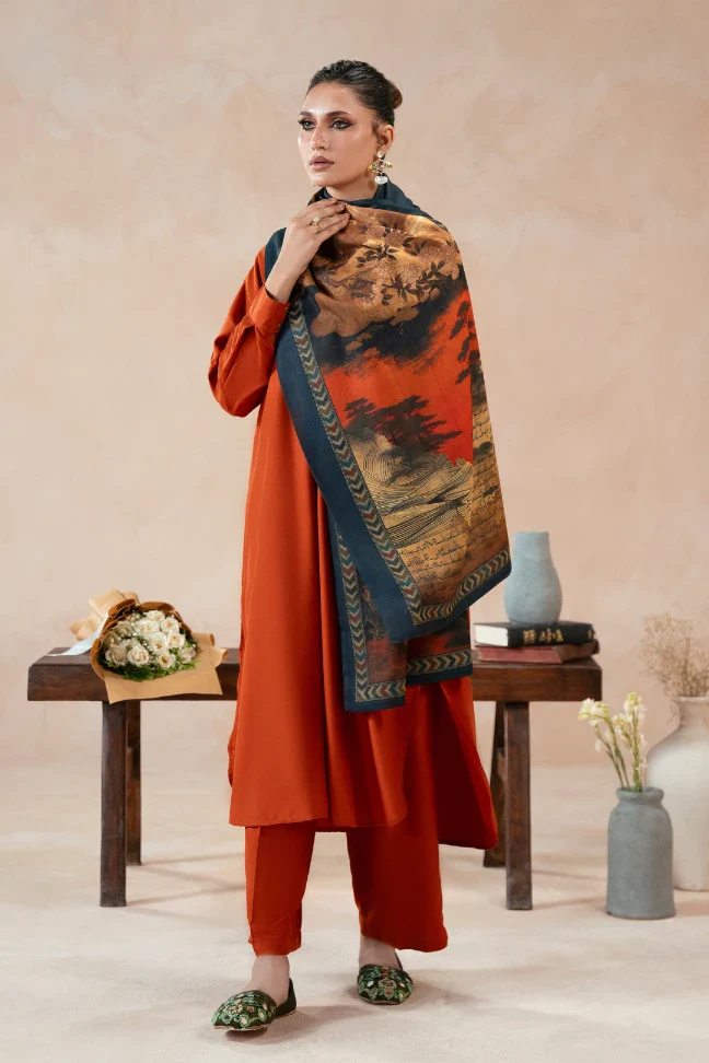Khizaan Stole - Image 6