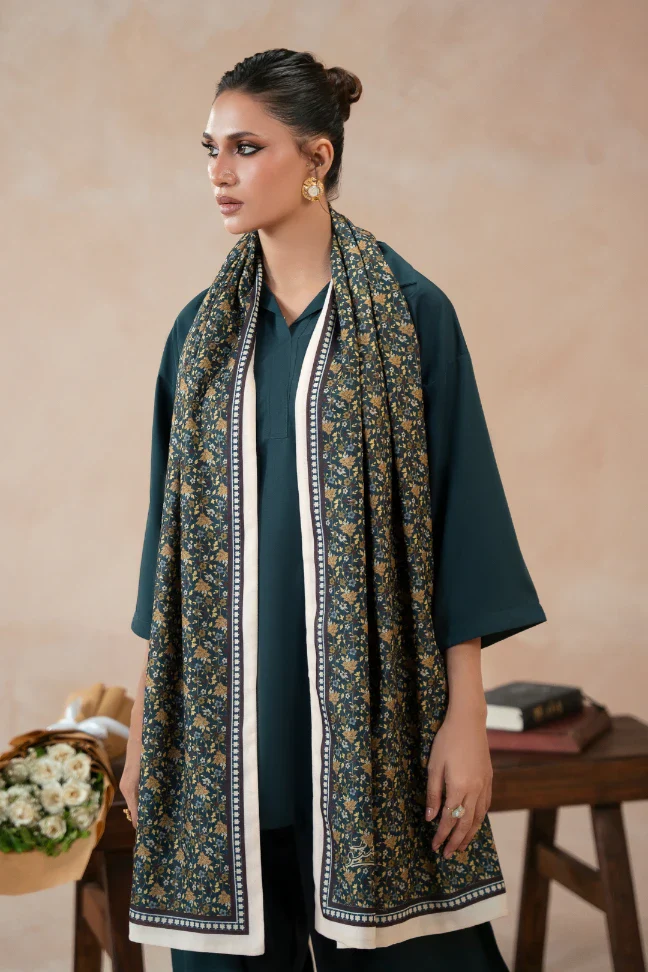 Khoj Stole - Image 3