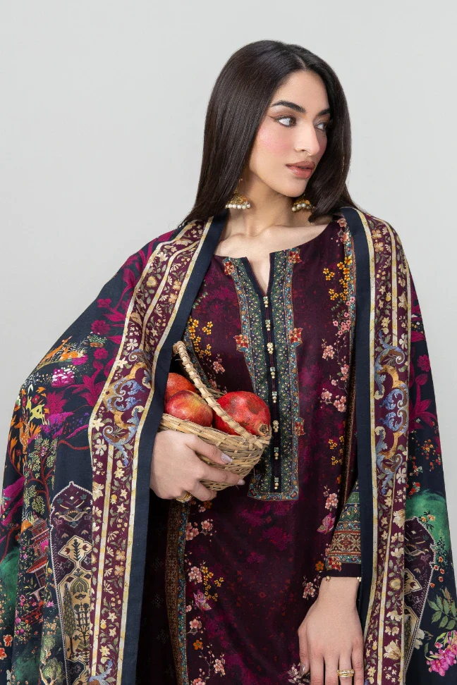 Meena Odhni - Image 4