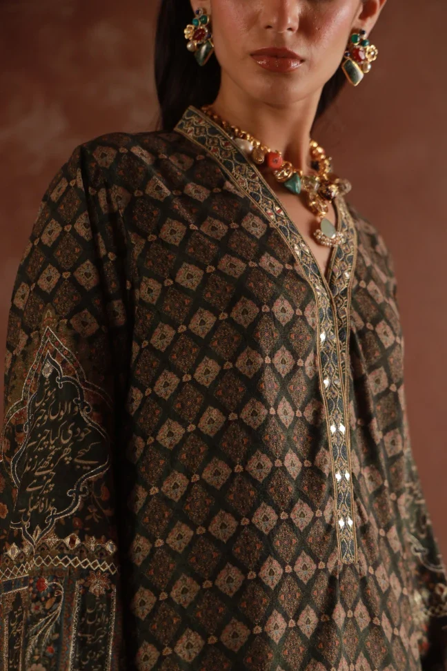 Meherjaan Velvet Kaftaan - Image 4