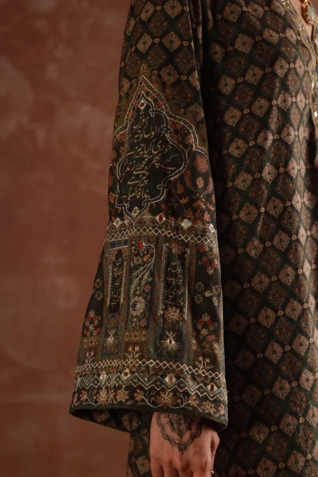 Meherjaan Velvet Kaftaan - Image 5