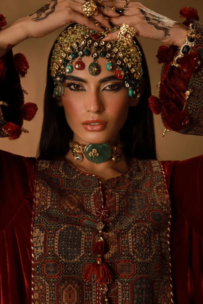 Parisa Velvet Kaftaan - Image 4