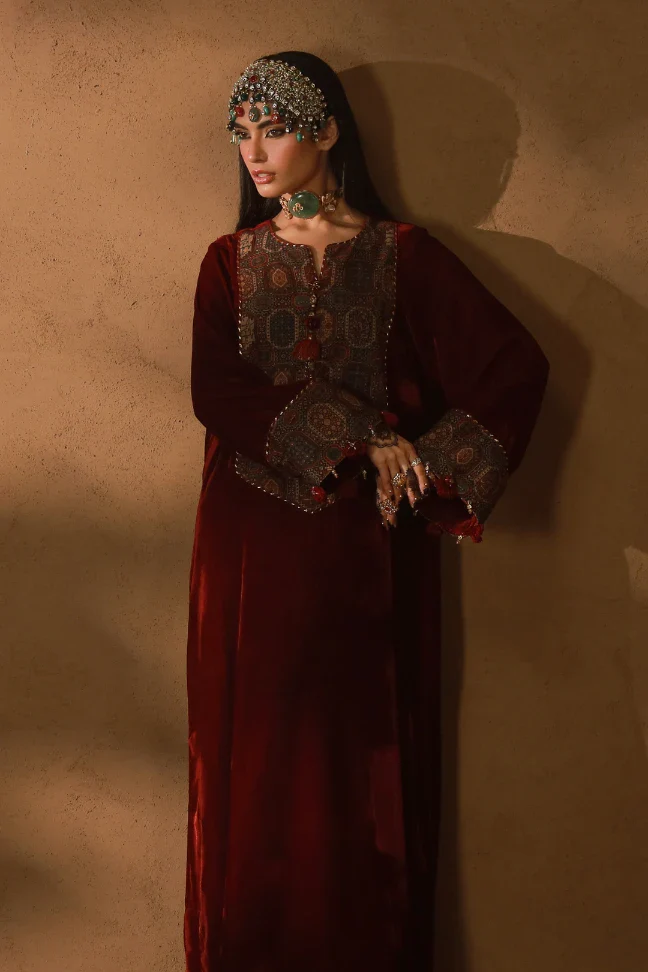 Parisa Velvet Kaftaan - Image 6
