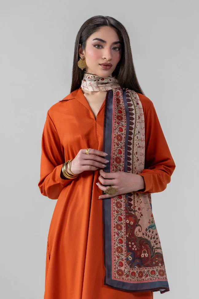 Sinf-e-Aahan Scarf - Image 2