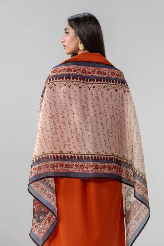 Sinf-e-Aahan Scarf - Image 3