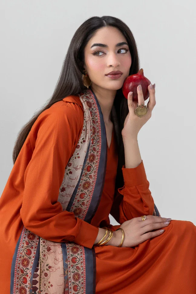 Sinf-e-Aahan Scarf - Image 6