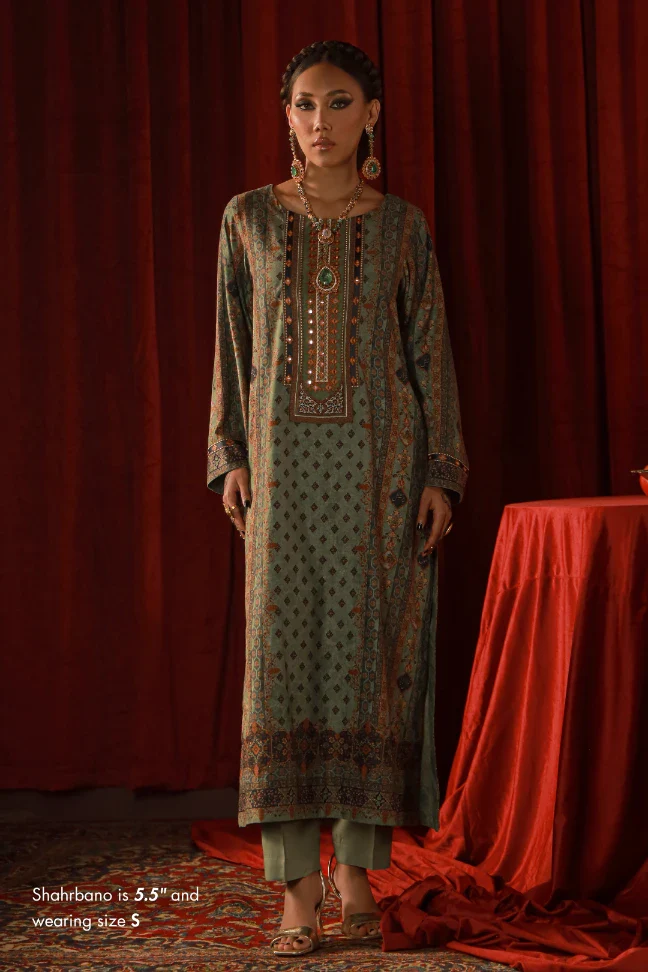 Zebunnisa Velvet Set - Green